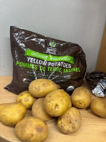 Potato - Yellow